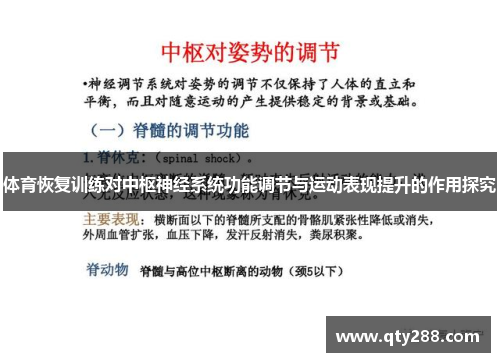 体育恢复训练对中枢神经系统功能调节与运动表现提升的作用探究